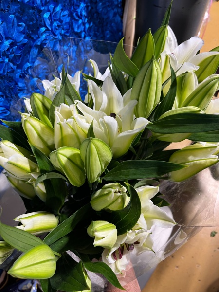 Flower and Roses for sale at the best prices at Micaela's Flowers & Party Supply